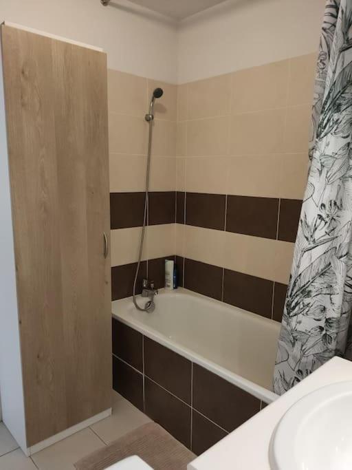 L'envol - 80 M2 - 40 M2 Balcon - 2 Parkings Prives * Toulouse