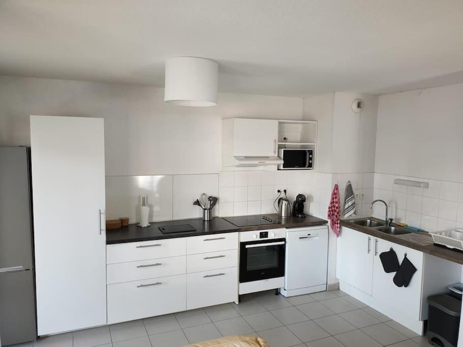 Apartamento L'envol - 80 M2 - 40 M2 Balcon - 2 Parkings Prives Toulouse